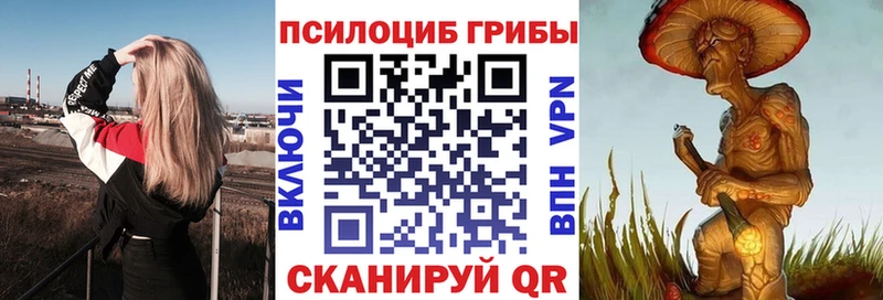 Купить  Краснознаменск  Галлюциногенные грибы Cubensis 